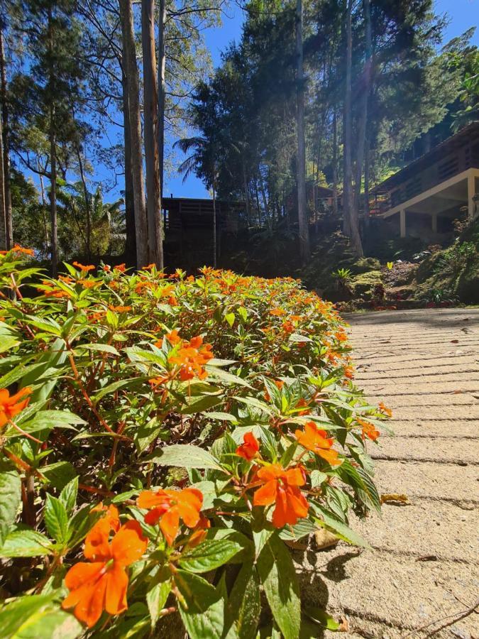 Bed and breakfast Recanto Dos Sonhos